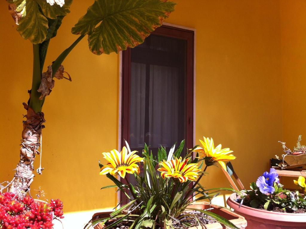 B&B Villa Lucia Mesagne Eksteriør bilde